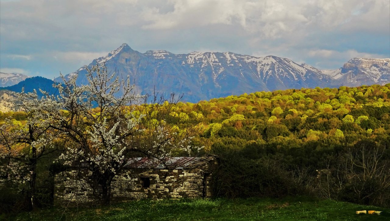 Chalet Kalyvas